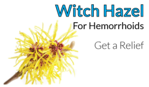 witch-hazel-hemorrhoids